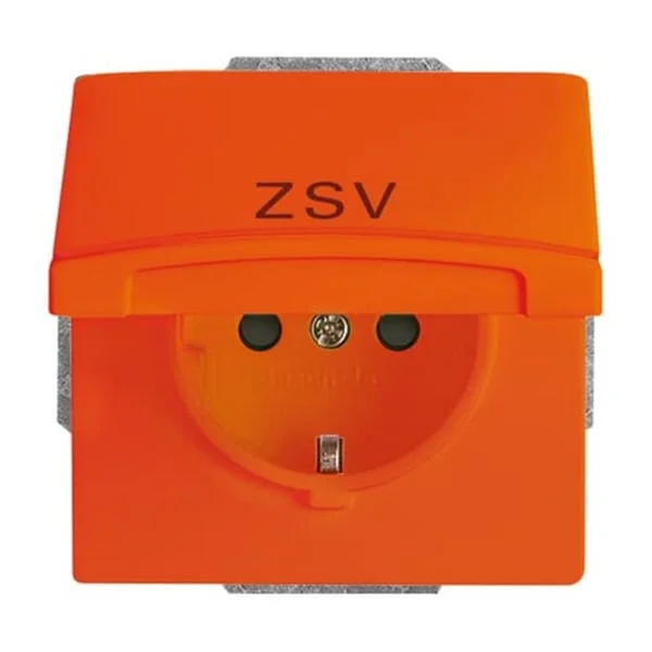 0 Schutzkontakt-Steckdoseneinsatz 20 EUGKB-14-101 (orange, Retail)
