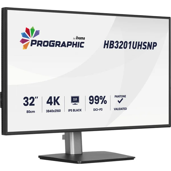 iiyama ProGraphic HB3201UHSNP-B1, LED-Monitor (80 cm (31.5 Zoll), schwarz (matt), UltraHD/4K, IPS, HDMI, DP, USB-C, USB-Hub)