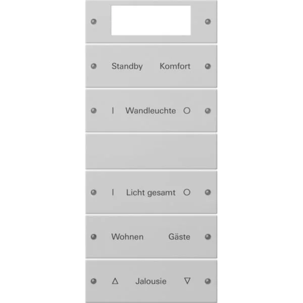 Gira Wippenset fünffach Plus beschreibbar lackiert (grau, Retail)