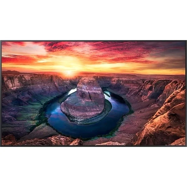 Samsung QM65C, Public Display (schwarz, UltraHD/4K, WLAN, Bluetooth, HDMI)
