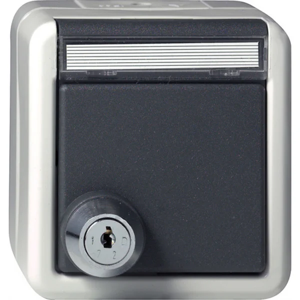 Gira Schutzkontaktsteckdose Typ F 16 Ampere 250 Volt mit Klappdeckel Schloss und Beschriftungsfeld (grau, Retail)