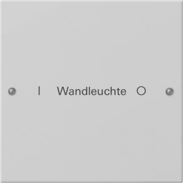Gira Wippenset einfach (grau, Retail)