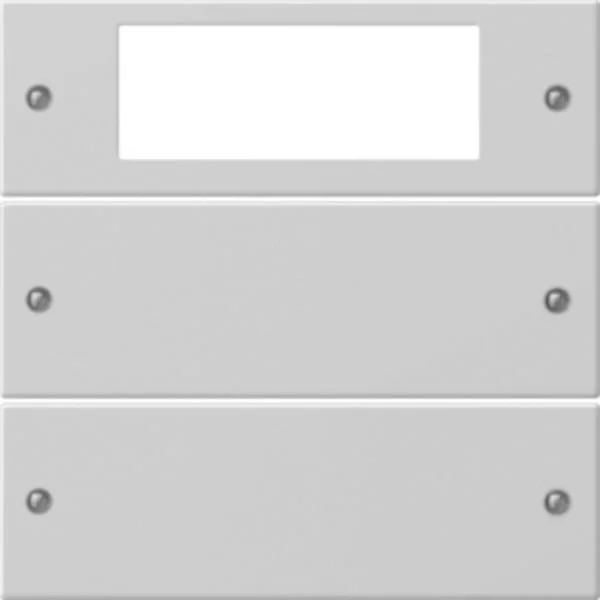 Gira Wippenset zweifach Plus lackiert (grau, Retail)