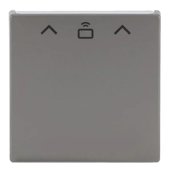 Busch-Jaeger Zentrale Schalter Cardschalter Radiofrequenz-Identifikation, Abdeckung (edelstahl, Retail)