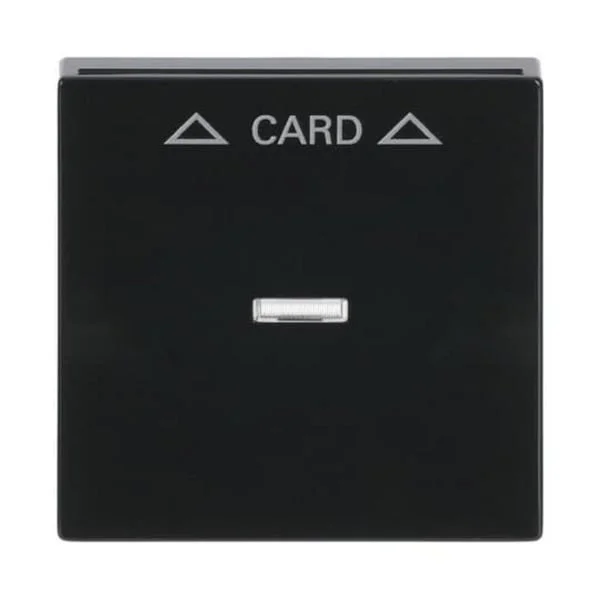 0 Zentralscheibe für Cardschalter mit Symbolik und Kalotte, Abdeckung (anthrazit, Retail)
