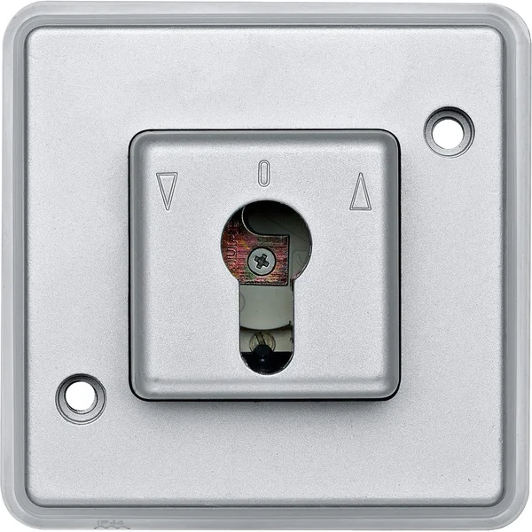 Merten Rastschalter Einsatz silber für Schließzylinder (silber, Retail)