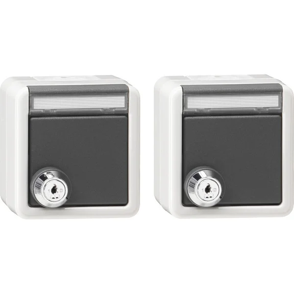 Gira Set 2 Schutzkontakt Steckdosen mit Klappdeckel und Schloss (grau, Retail)