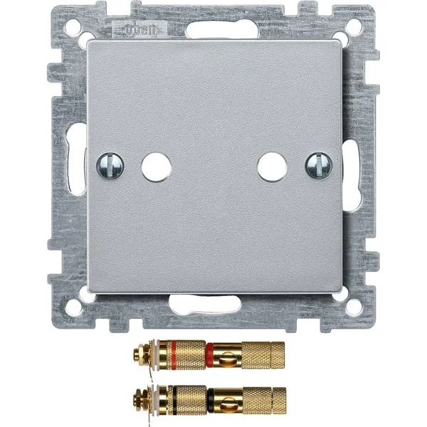 Merten Zentralplatte für Lautsprecheranschlüsse bis 10 Quadratmillimeter (aluminium, Retail)