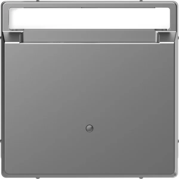 Merten Card-Schalter eds System Design (edelstahl, Retail)