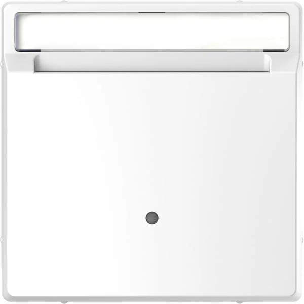 Merten Card-Schalter beleuchtbar mit Zentralplatte glänzend aus Thermoplast (weiß, Retail)