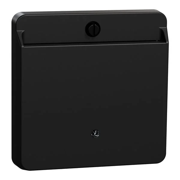 Merten Card Schalter mit Hotelkartenhalter und Beleuchtung, Abdeckung (schwarz, Retail)