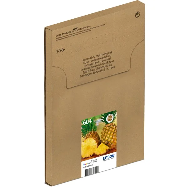 Epson Tinte Multipack 604 (C13T10G64510) (Easymail-Verpackung)
