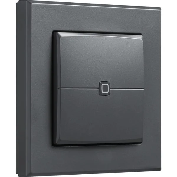 Homematic IP Wandtaster – 2-fach (HmIP-WRC2-A-2), Schalter (anthrazit)