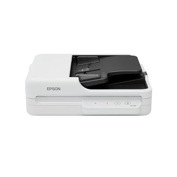 Epson WorkForce DS-1730, Flachbettscanner (hellgrau/dunkelgrau, USB)