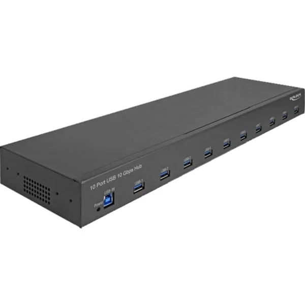 DeLOCK 19″ Industrie Hub 10 x USB 10 Gbps Typ-A