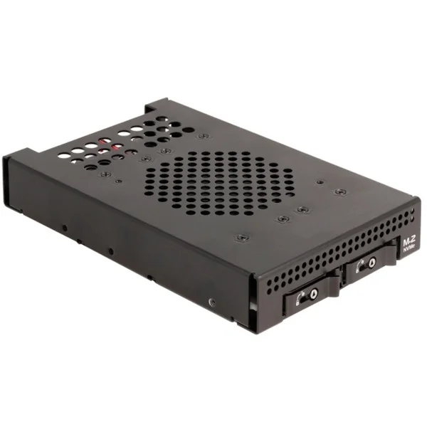 DeLOCK 3.5″ Wechselrahmen für 2 x M.2 NVMe SSD, Einbaurahmen
