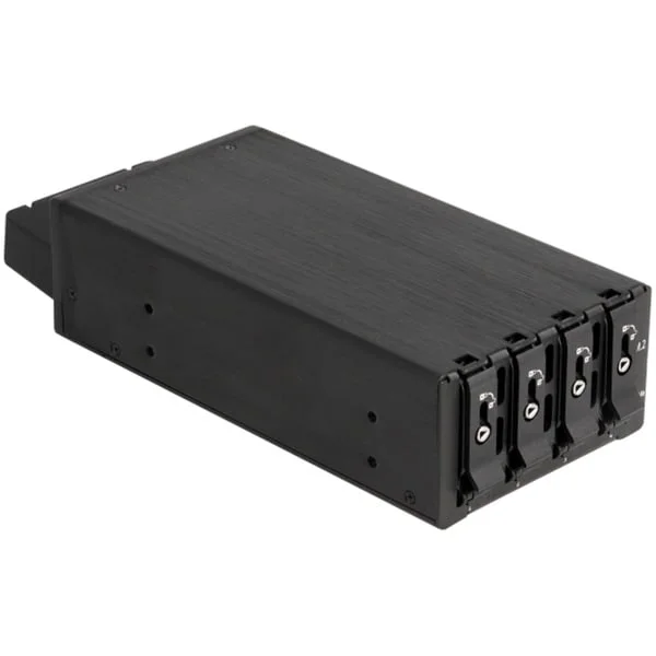 DeLOCK Slim Bay Wechselrahmen für 4 x M.2 NVMe SSD mit Slim SAS SFF-8654 Anschluss