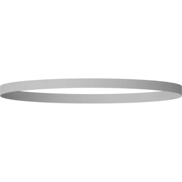 Bosch Professional PRO Bandsägeblatt CB4418 BIM, 2 Stück (18 TPI, für GCB 18V-127 und GCB 120)