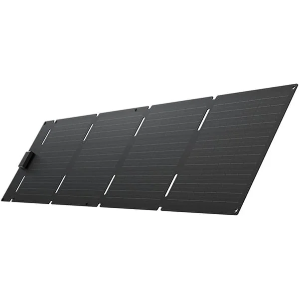 EcoFlow 60W Tragbares Solarpanel (Type-C) (schwarz/grau)