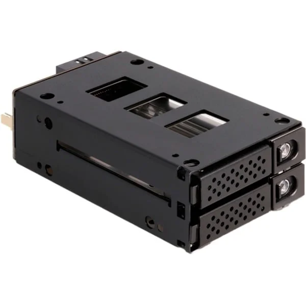 DeLOCK Slim Bay Wechselrahmen für 2 x 2.5″ U.2 NVMe SSD, Laufwerksgehäuse