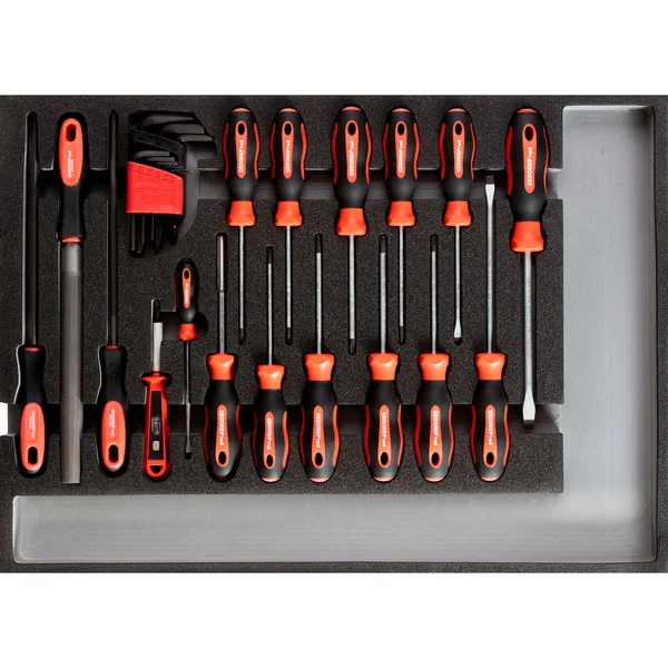 GEDORE Werkzeugsatz Schraubendreher + Feilen in CT-Modul, 26-teilig, Werkzeug-Set (schwarz/rot, (R22350002))