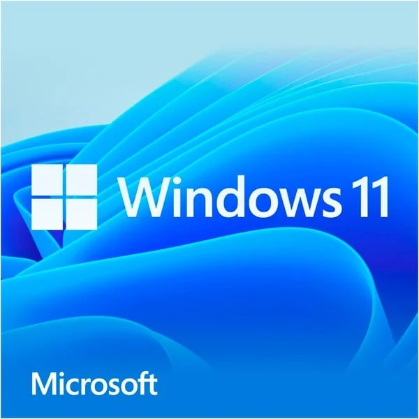 Microsoft Windows 11 Home, Betriebssystem-Software (64-Bit, Deutsch, USB-Stick)