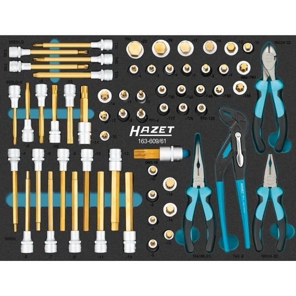 Hazet Schraubendreher-Steckschlüsseleinsatz-Satz 163-609/61, Größe 3/3+, Werkzeug-Set (61-teilig)