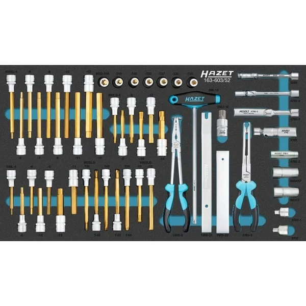 Hazet Schraubendreher-Steckschlüsseleinsatz-Satz 163-603/52, Größe 4/3+, Werkzeug-Set (52-teilig, metrische und zöllige Maße)
