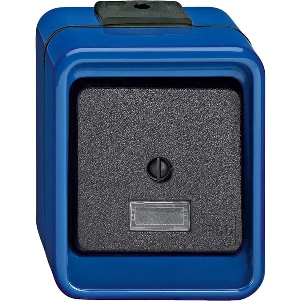 Merten Wippschalter Wechsel 16 Ampere 250 Volt mit Schraubklemmen und Aufputzmontage (blau, Retail)