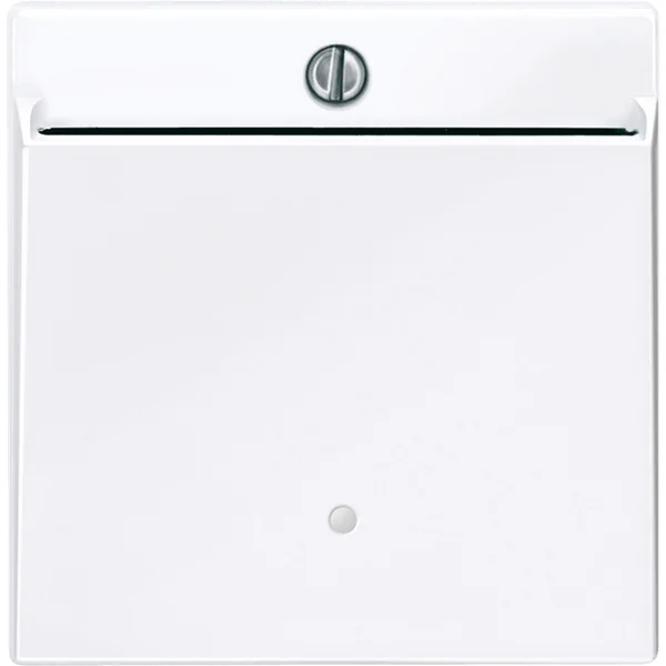Merten Card-Schalter beleuchtbar, Taster-Einsatz für Card-Schalter, Typ 315625 (weiß (glänzend), Retail)