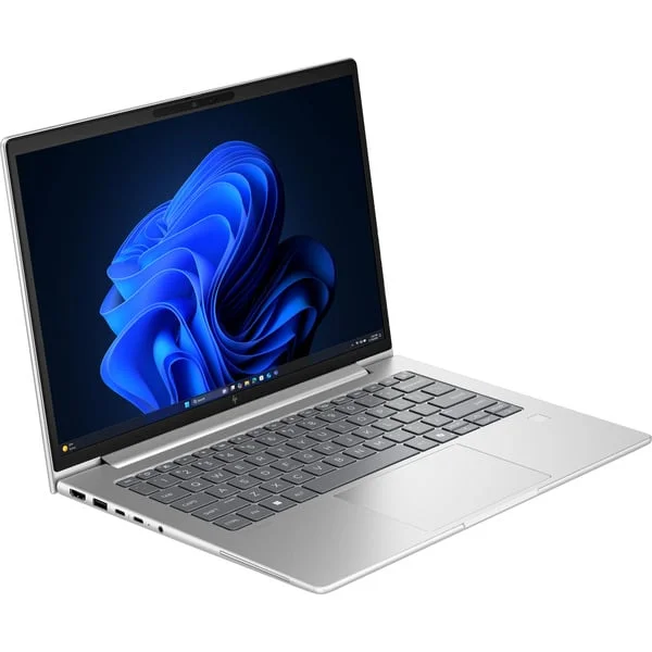 HP EliteBook 6 G2a (E02FQET), Notebook (silber, AMD Ryzen 7 PRO 250, AMD Radeon 780M, 32 GB LPDDR5X, 1 TB (1 TB SSD), Windows 11 Pro)