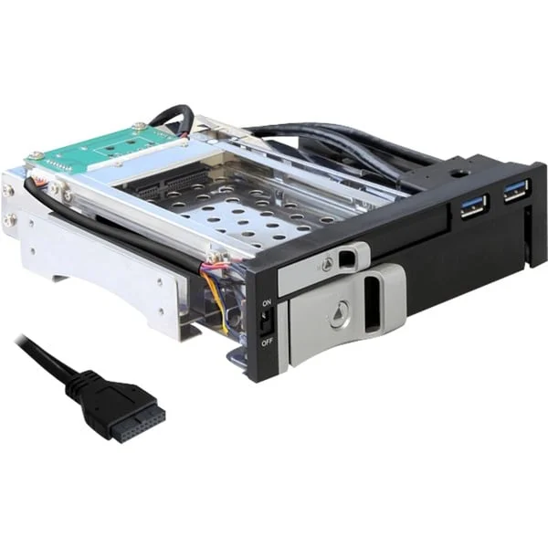 DeLOCK 5.25 Wechselrahmen für 1 x 2.5 + 1 x 3.5 SATA (schwarz, 2x USB 3.2)