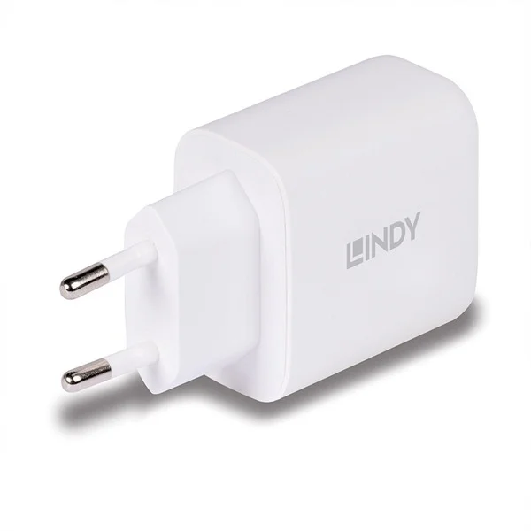 Lindy Ladegerät 65 Watt USB-A & C GaN Charger (weiß, 1x USB-A, 1x USB-C PD 3.0, GaN, PPS)