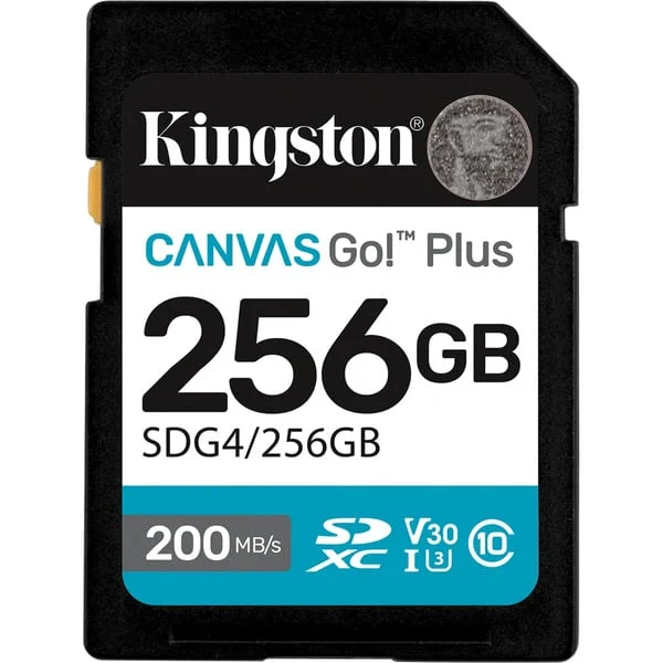 Kingston Canvas Go! Plus 256GB SDXC, Speicherkarte (schwarz, UHS-I U3, Class 10, V30)