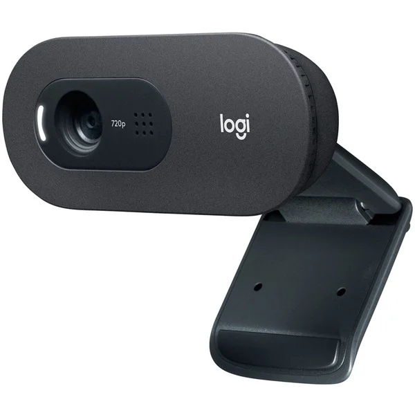 Logitech C505, Webcam (schwarz)