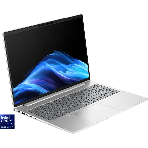 HP ProBook 4 G1i (AD2N7ET), Notebook (silber, Intel® Core™ Ultra 5 225U, Intel® Graphics, 16 GB DDR5, 512 GB (512 GB SSD), Windows 11 Pro)