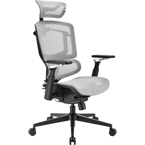Sharkoon Bürostuhl OfficePal C50M (grau)