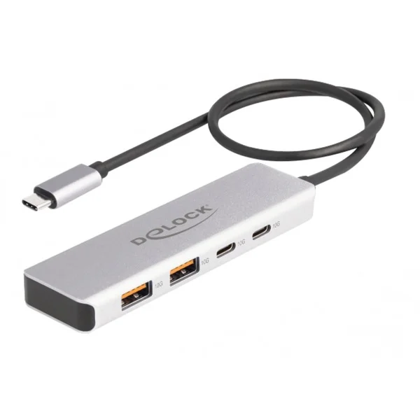 DeLOCK USB 10 Gbps USB Type-C Hub mit 2 x USB Typ-A und 2 x USB Type-C, USB-Hub (grau)