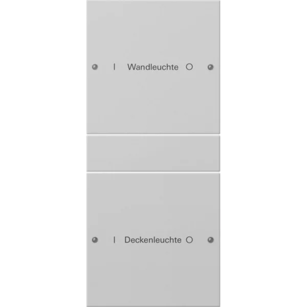 Gira Wippenset zweifach beschreibbar lackiert, Schalter (grau, Retail)