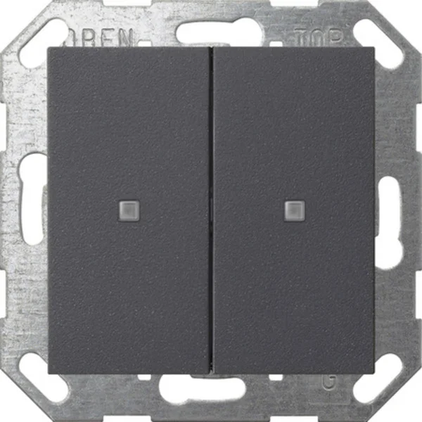 Gira Taster mit Wippe zweifach für Gira One und KNX System 55 (anthrazit, Retail)