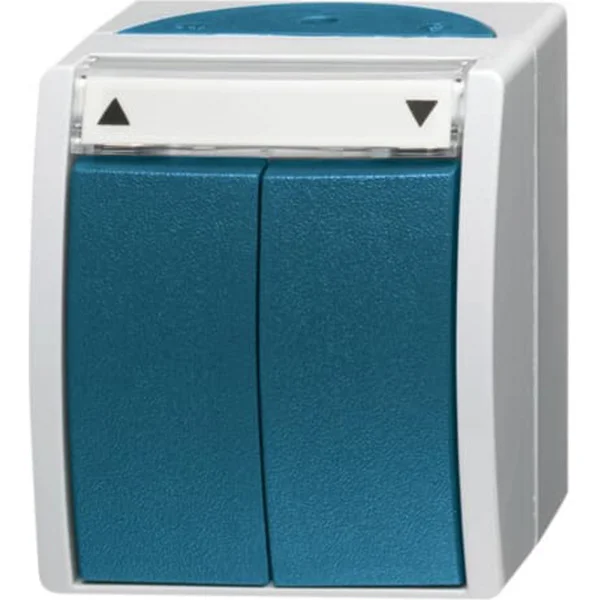 Busch-Jaeger Jalousietaster Aufputz mit Beschriftungsbogen Typ 2621/4 W-53, 10 Ampere, 250 Volt (blaugrün, Retail)