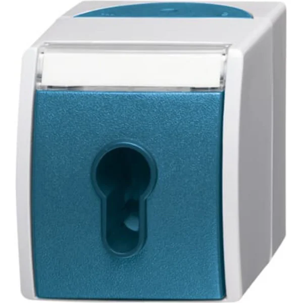Busch-Jaeger Schlüsselschalter Aufputz mit Schlüssel, 1-polig, 10 Ampere, IP44, Typ 2733 SLW-53 (Retail)