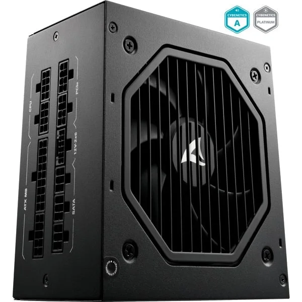 Sharkoon Rebel P20 1000W, PC-Netzteil (schwarz, 1x 12 Pin High Power Anschluss, 4x PCIe, Kabelmanagement, 1000 Watt)