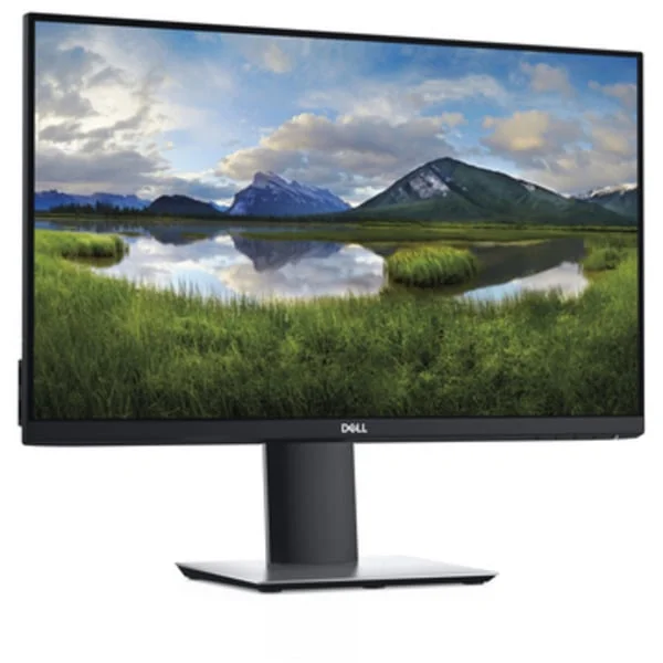 Dell P2421 Generalüberholt, LED-Monitor (61.1 cm (24.1 Zoll), schwarz (matt)/silber, WUXGA, IPS, HDMI, DisplayPort, VGA, USB-Hub)