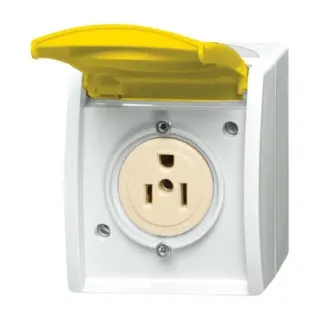 0 Busch Nema Steckdose 15 Ampere (gelb, Retail)