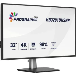iiyama ProGraphic HB3201UHSNP-B1, LED-Monitor (80 cm (31.5 Zoll), schwarz (matt), UltraHD/4K, IPS, HDMI, DP, USB-C, USB-Hub)
