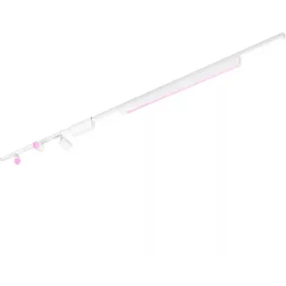 Philips HUE Perifo Basis-Set für die Decke (gerade, 3 Spots, 1 Lightbar), Leuchte (weiß)