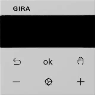 Gira Raumtemperaturregler Display, Bedienteil (grau, Retail)
