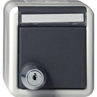 Gira Schutzkontaktsteckdose Typ F 16 Ampere 250 Volt mit Klappdeckel Schloss und Beschriftungsfeld (grau, Retail)