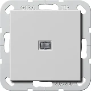 Gira Wipp-Kontrollschalter British Standard Ausschalter zwei-polig mit Wippe und Schraubklemmen (grau, Retail)